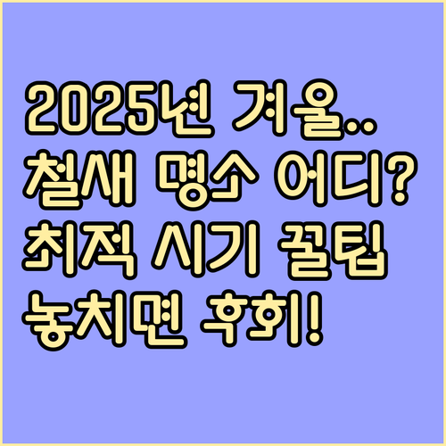 2025년 겨울 철새 관찰 명소와 종..