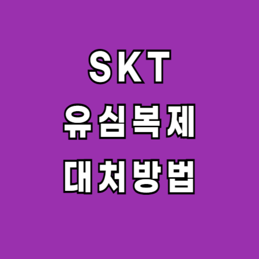 SKT 유심복제 방지 대처방법