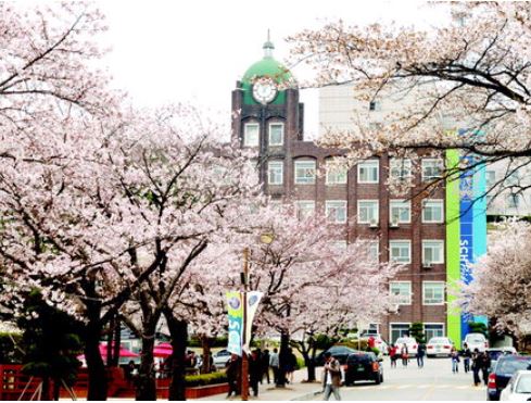 아산 벚꽃
