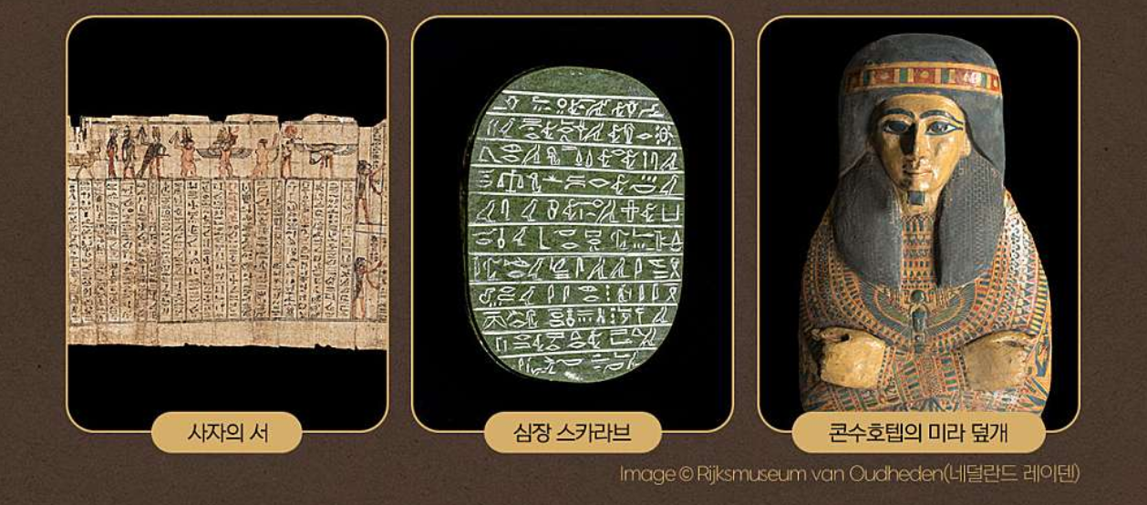 이집트 미라전 - 부활을 위한 여정 50%할인예약 기간 정보