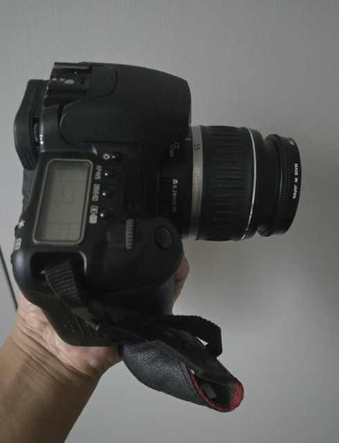 Canon EOS 30D가 보여준 JPEG 엔진의 초창기 성향과 색 표현 철학