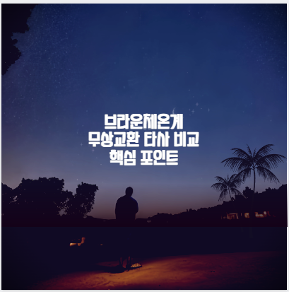 브라운체온계 무상교환 타사 비교 핵심 포인트