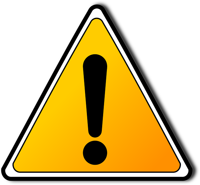 산책 시 유의할 점