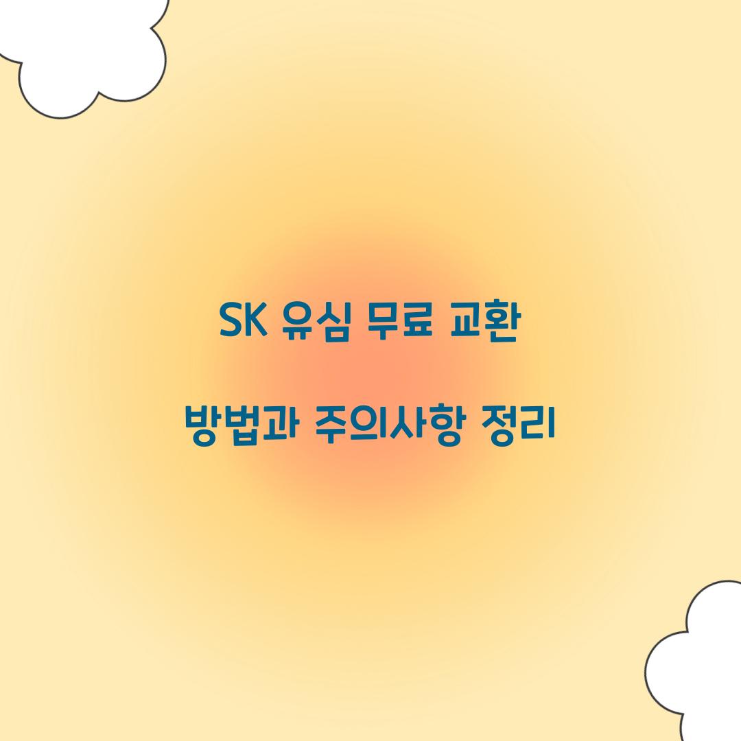 SK 유심 무료 교환