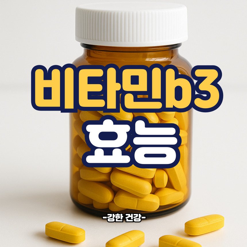 비타민b3 효능