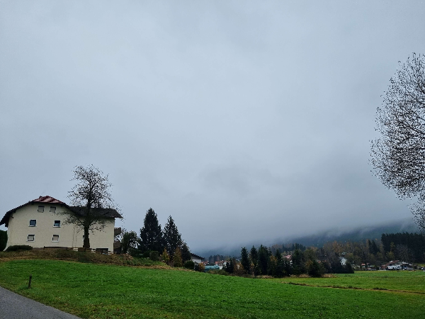 [독일 여행] 바바리안 포레스트에서 호캉스&amp;#44; 독일 11월 날씨