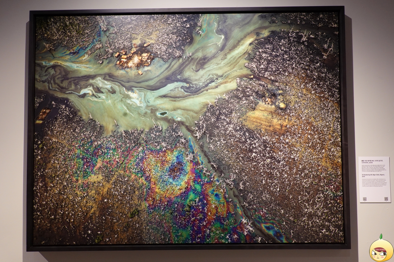 불법 석유 벙커링 #9, 나이저 삼각주, 나이지리아, 2016