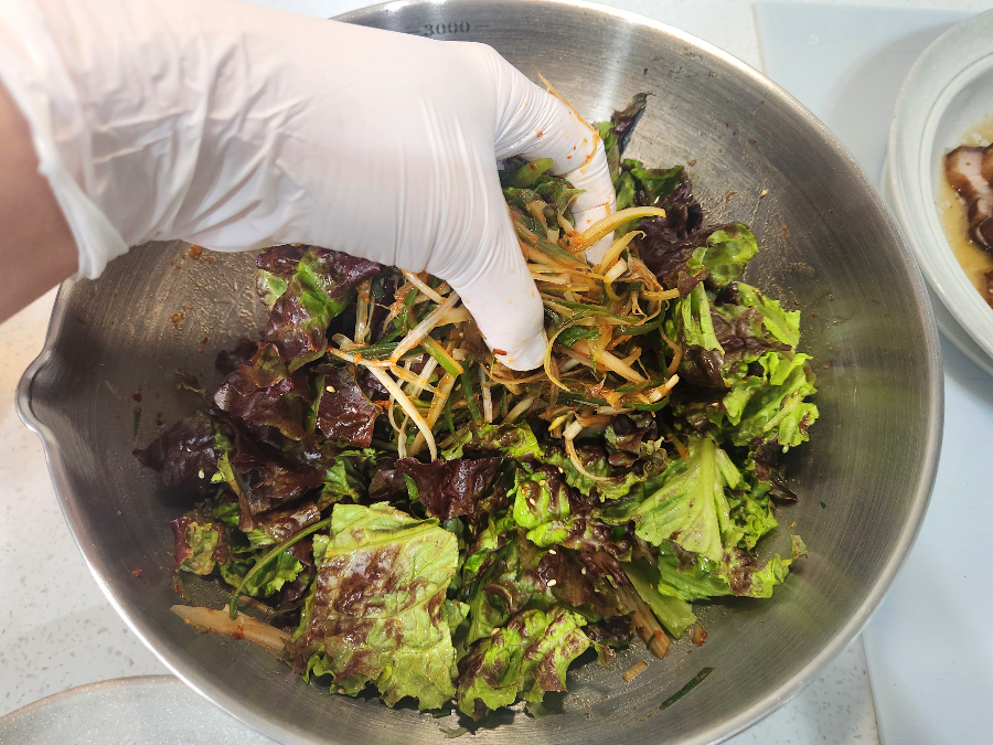 상추 겉절이 파절이