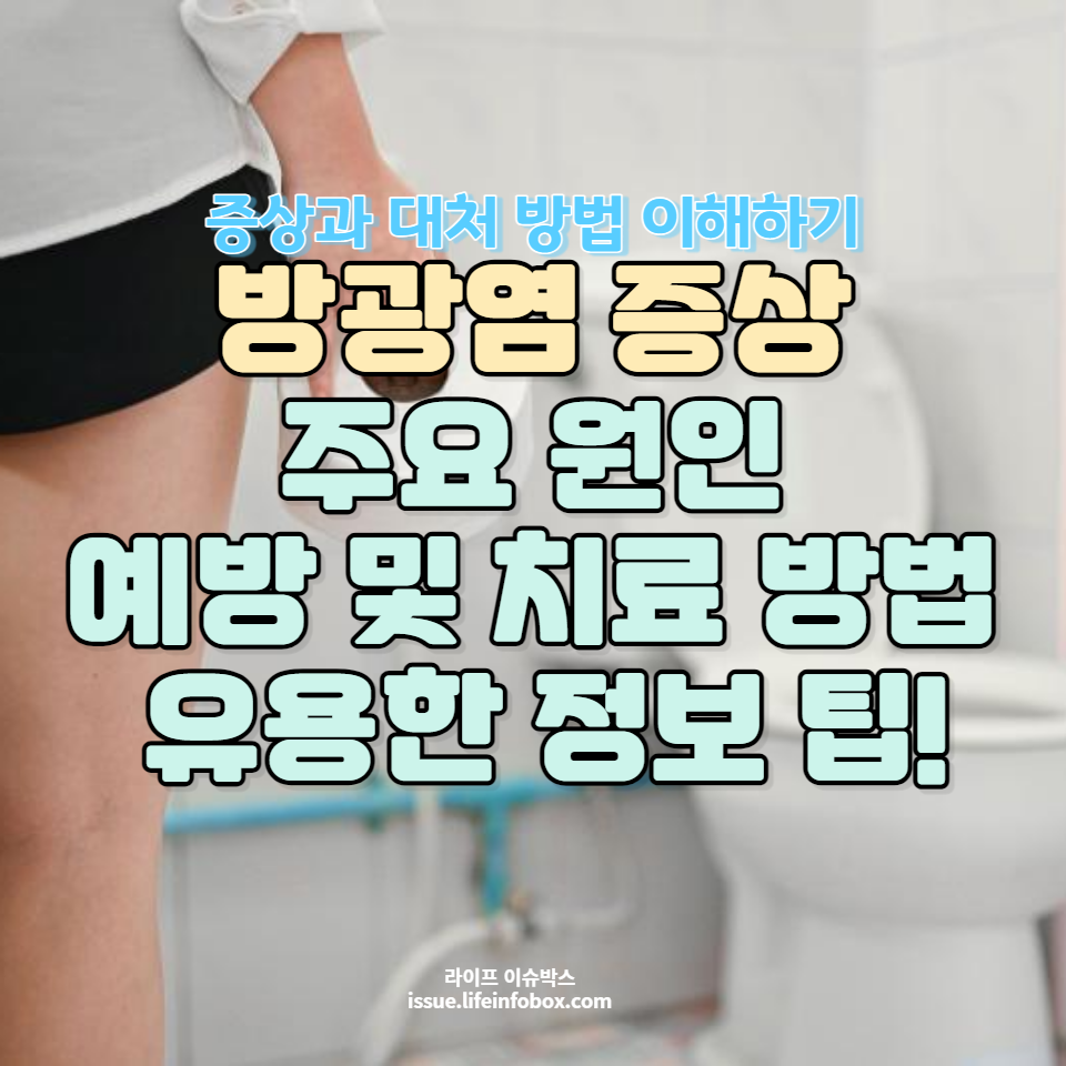 방광염의 주요 원인, 예방 및 치료 방법, 그리고 건강한 생활 습관에 대한 유용한 정보를 제공합니다