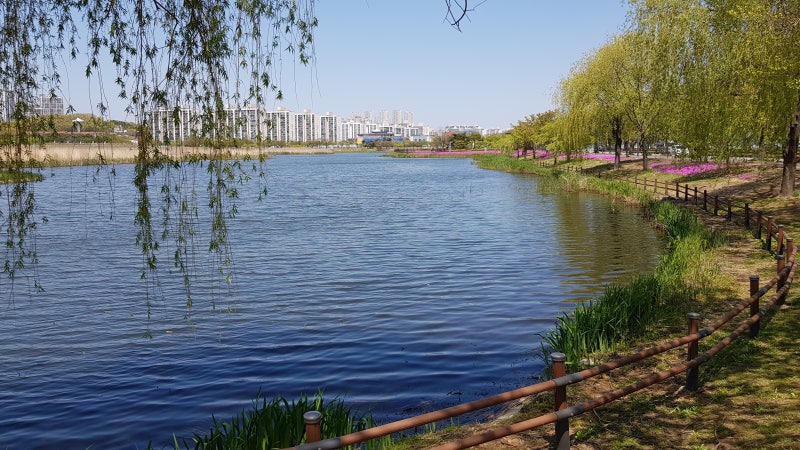 경기 안산 &ndash; 화랑저수지 &amp; 시화호 수로