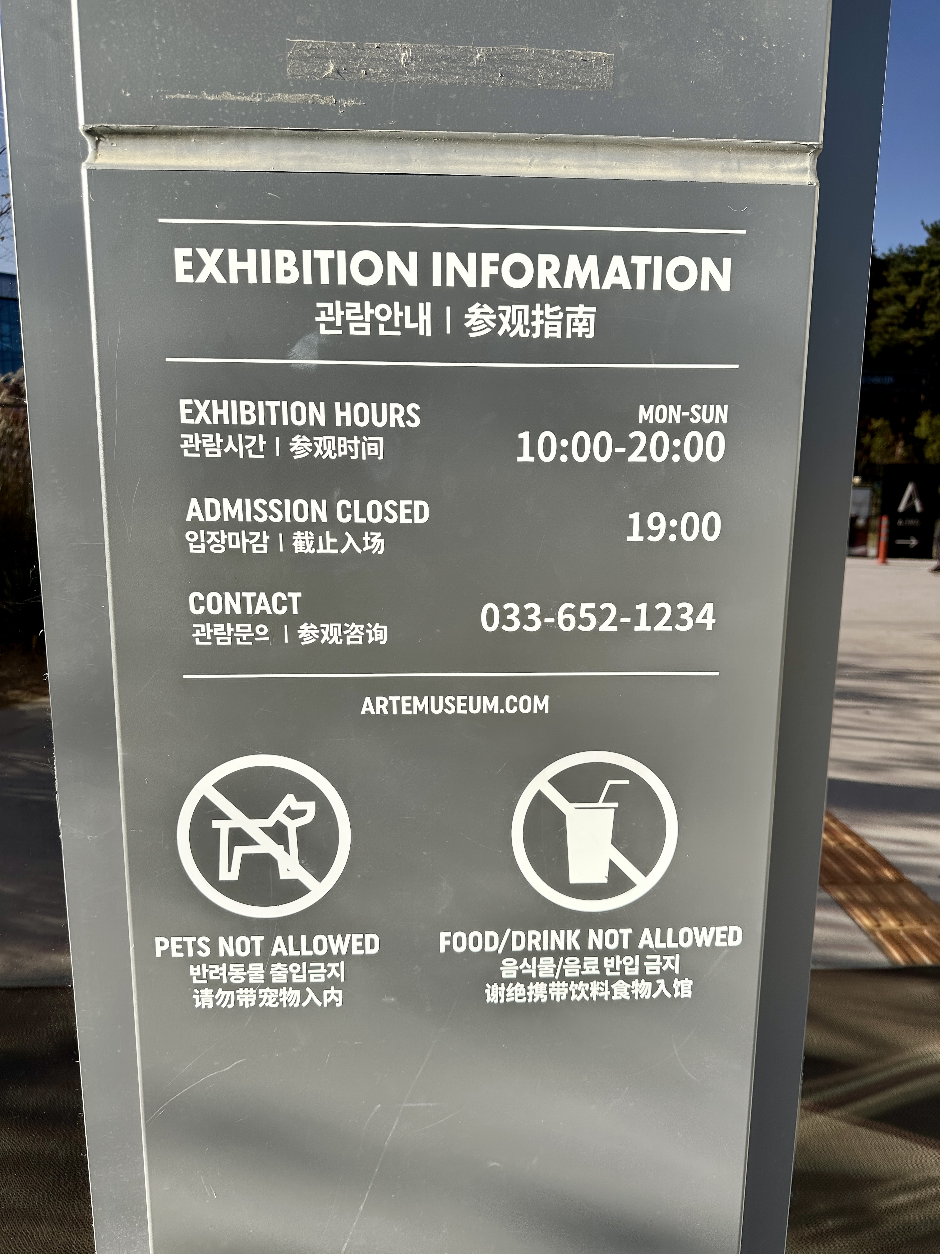 강릉 아르떼 뮤지엄 운영시간