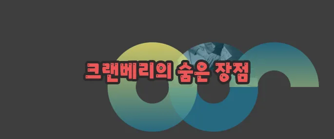 크랜베리의 효능 한번 정확하게 알아보도록 하죠