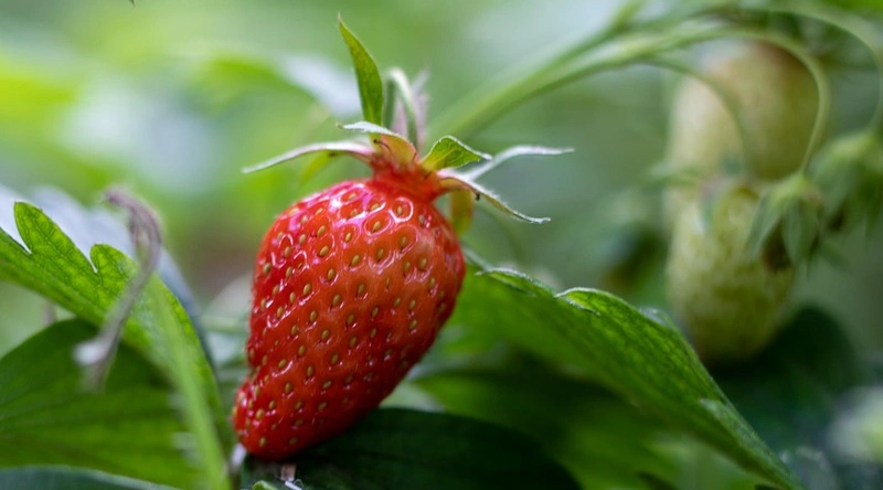 쾌적한 주거 환경의 중요성