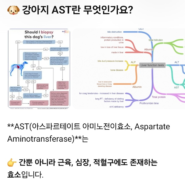 강아지 간수치 ALT·AST 높을 때 증상과 간수치 낮추는 방법
