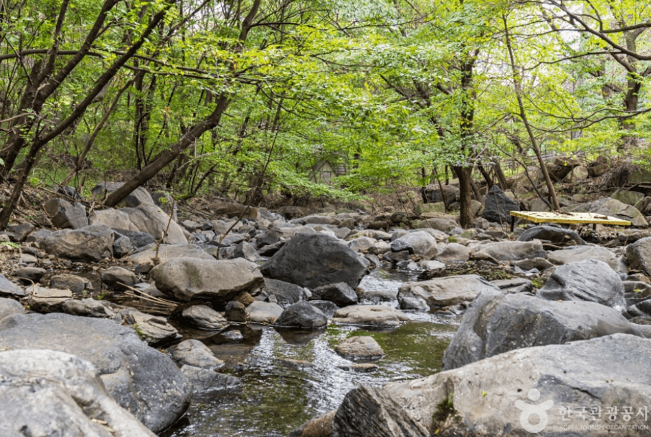 보령시 명대골계곡