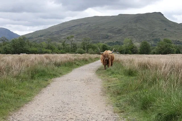 대전 현지인 추천 숨은 맛집 식도락 로드 7선_5
