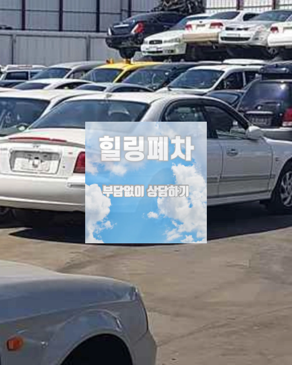 번호판 한 개 영치 차량 접수 전 확인
