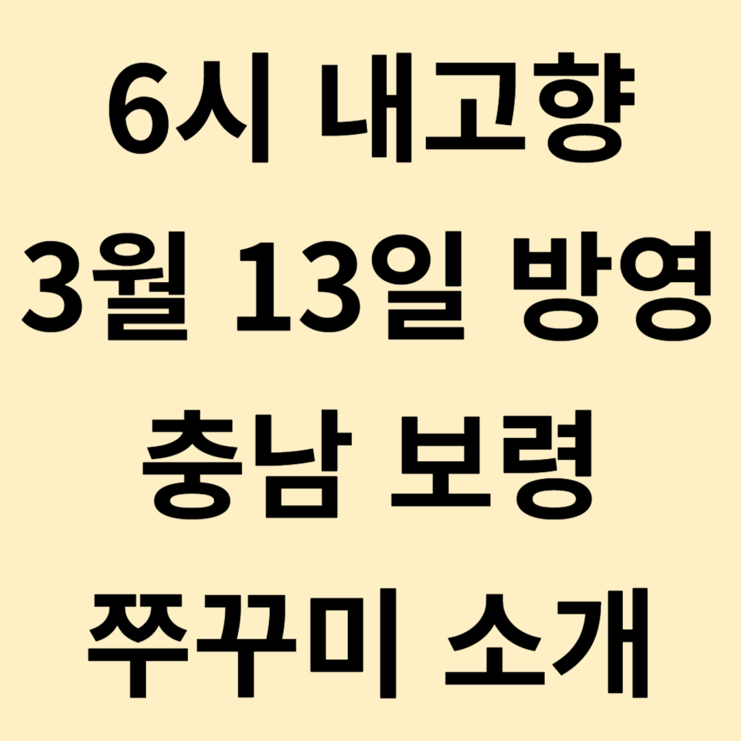 6시 내고향 충남 보령 쭈꾸미
