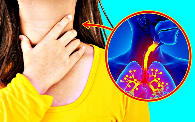 가래 삭히는 음식, 가래 없애는 방법, 건강 팁줌 매일꿀정보