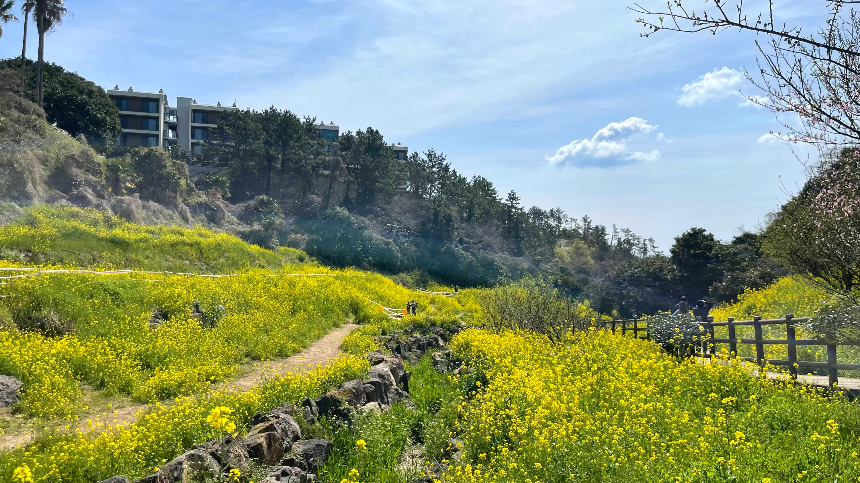 중문 미라지 올라가는 길10