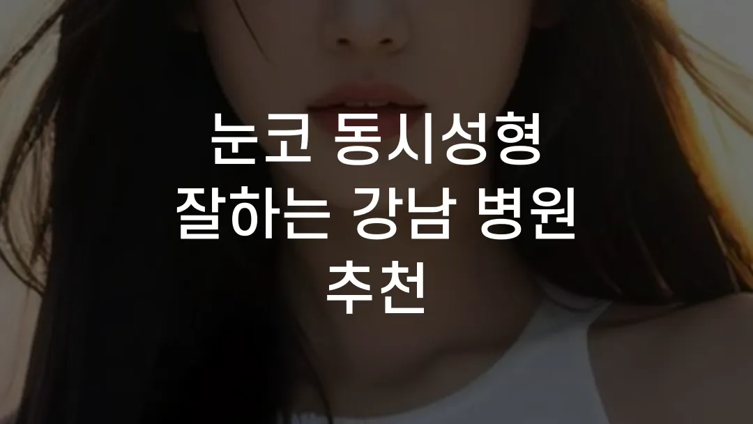 눈코 동시성형 잘하는 강남 병원 추천