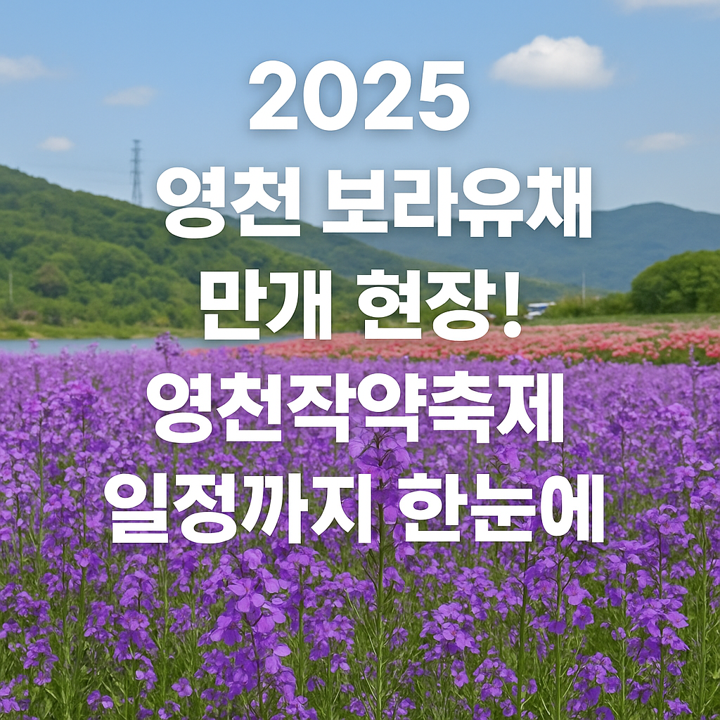 2025 영천 보라유채꽃 만개 현장! 영천작약축제 일정까지 한눈에