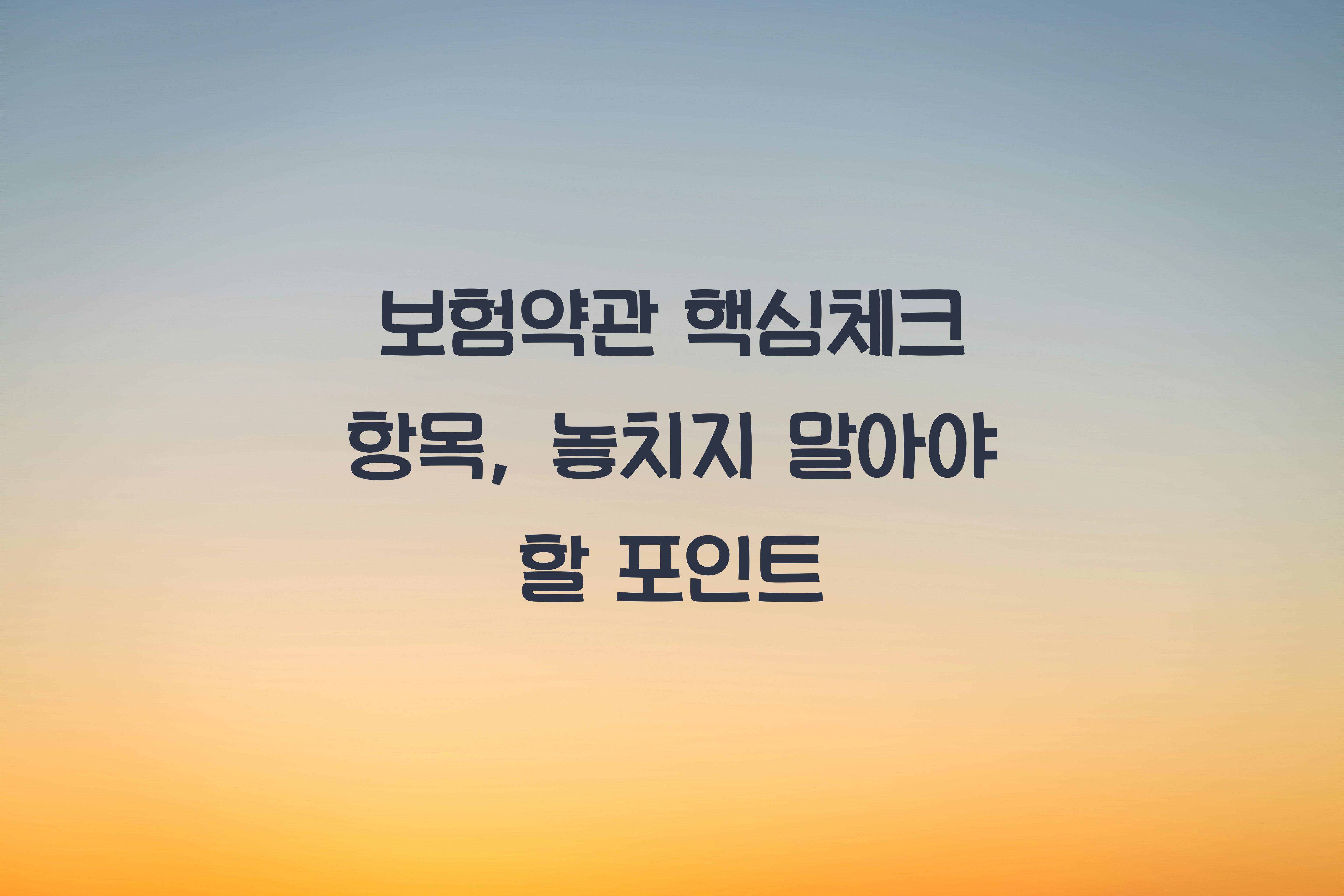 보험약관 핵심체크 항목
