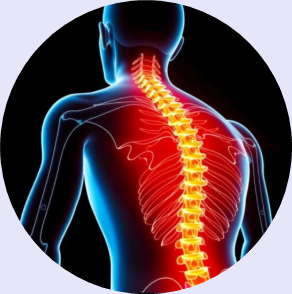 척추 수술 비용, 척추 전문 병원, 감염성 척추 질환 치료, 척추 감염 검사, 척추 수술 후기, 척추 수술 위험성, 척추 클리닉, 척추 건강 관리법, 척추 감염 증상, 척추 재활 운동