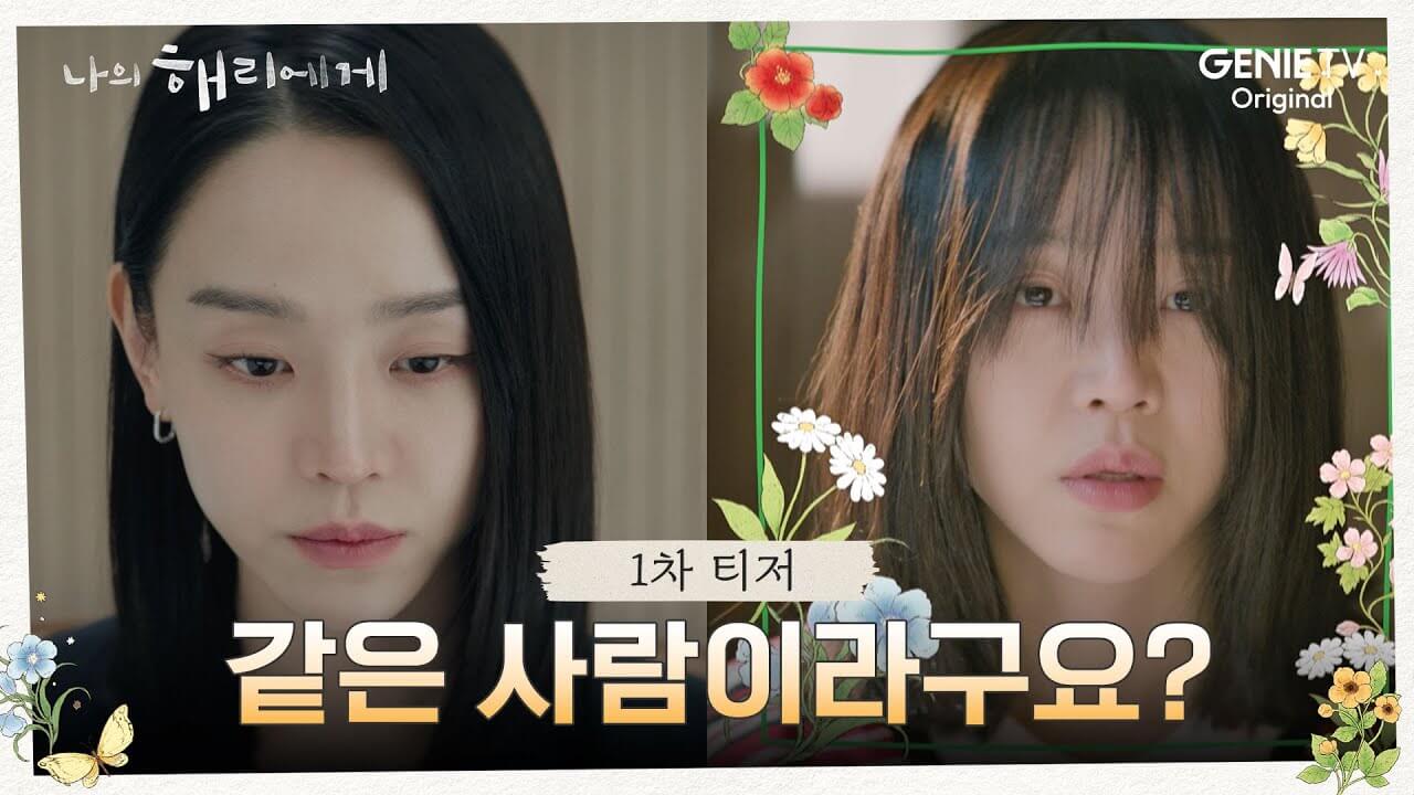 나의 해리에게