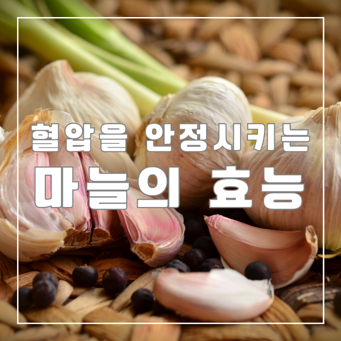 마늘의 효능