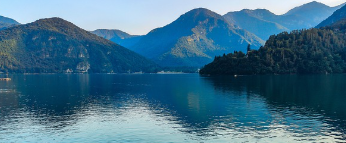 비가역적인 자연