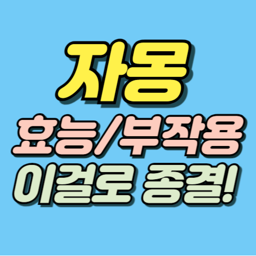 자몽 효능 부작용