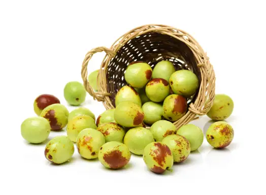 대추 효능과 영양성분 먹는 방법 부작용