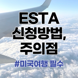 미국 ESTA 신청 방법 및 주의점