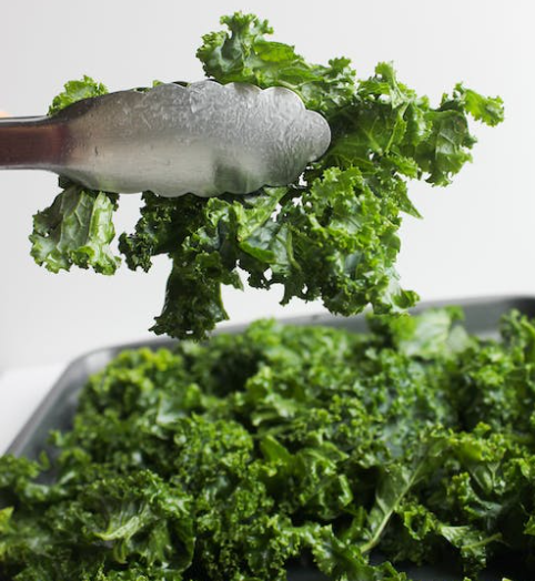 케일과 좋은 궁합의 과일