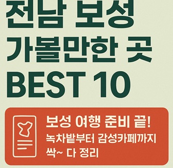 전남 보성 가볼만한 곳