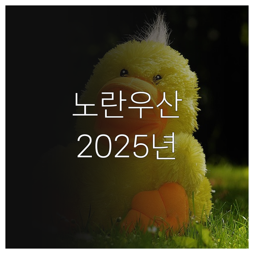 제주 소상공인 노란우산공제 가입 장려..