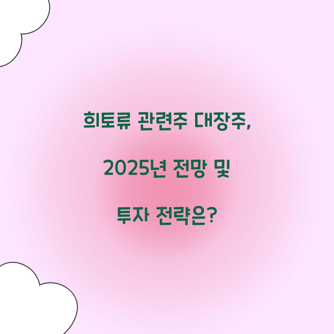 희토류 관련주 대장주