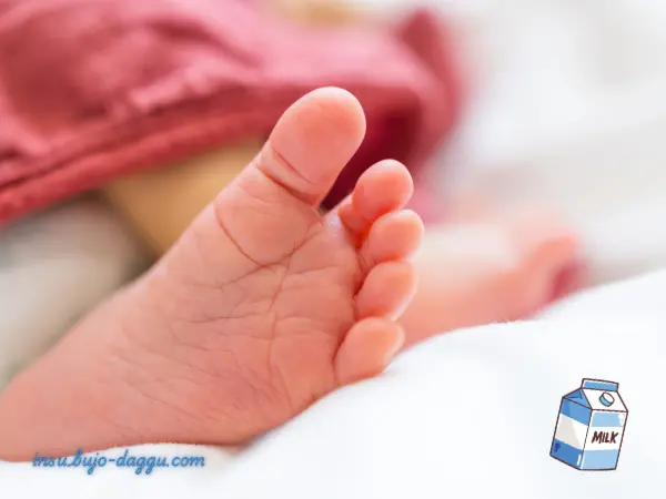 육아휴직 신고 오류로 생기는 불이익과 반드시 알아야 할 정정 방법 