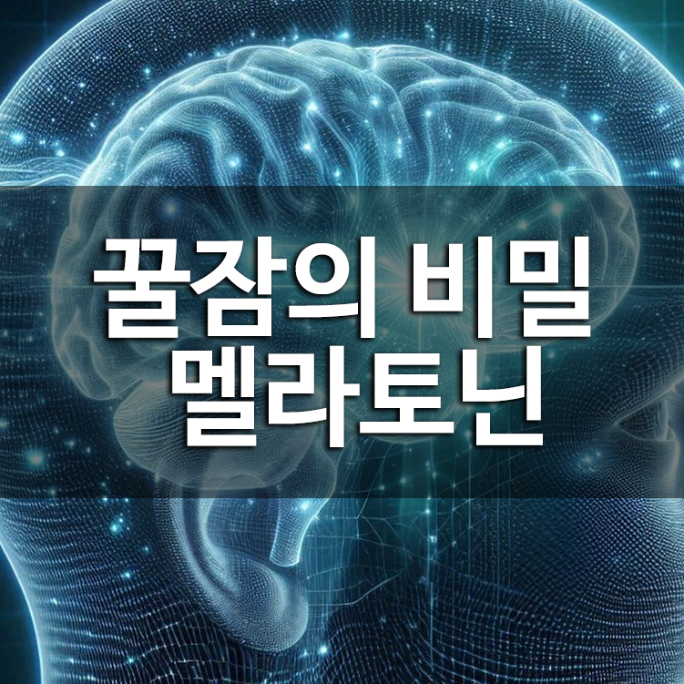꿀잠의 비밀, 멜라토닌의 놀라운 효과