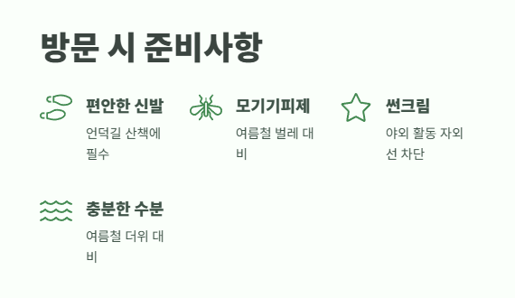 태종대 수국축제 완전 꿀팁 6