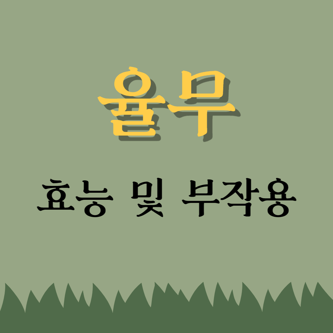 율무 효능 부작용 도움