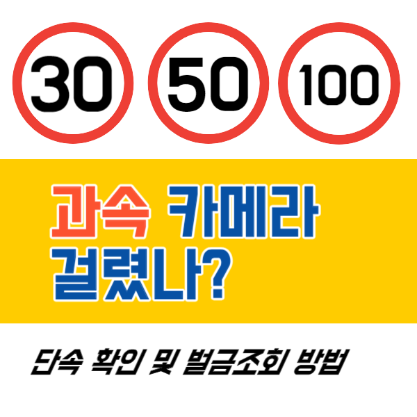 과속카메라 조회