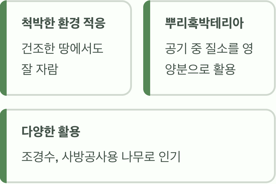 척박한 땅에서도 잘 자라는 강인함
