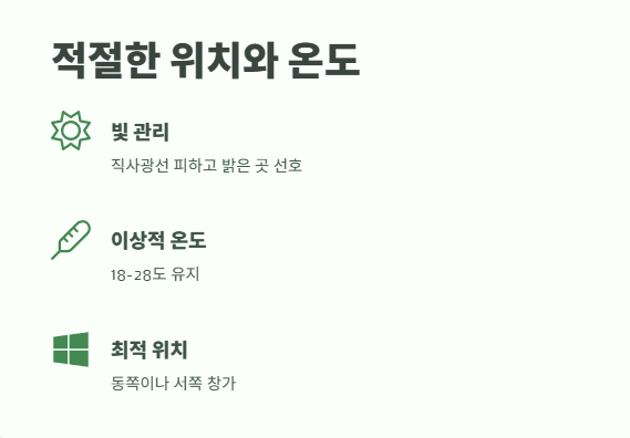 호접란 키우는법 쉽게 정리 4