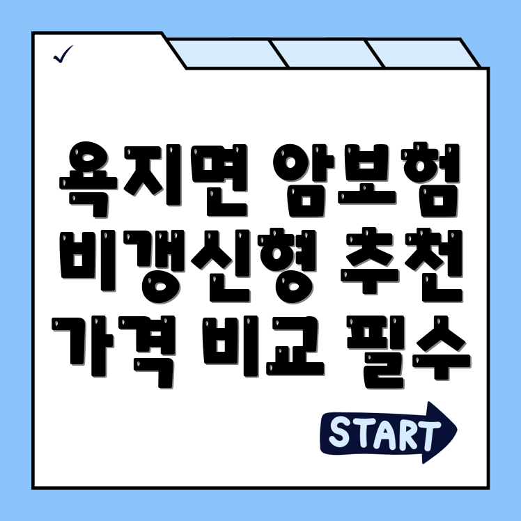 암보험 비교