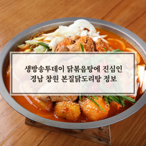 본질닭도리탕