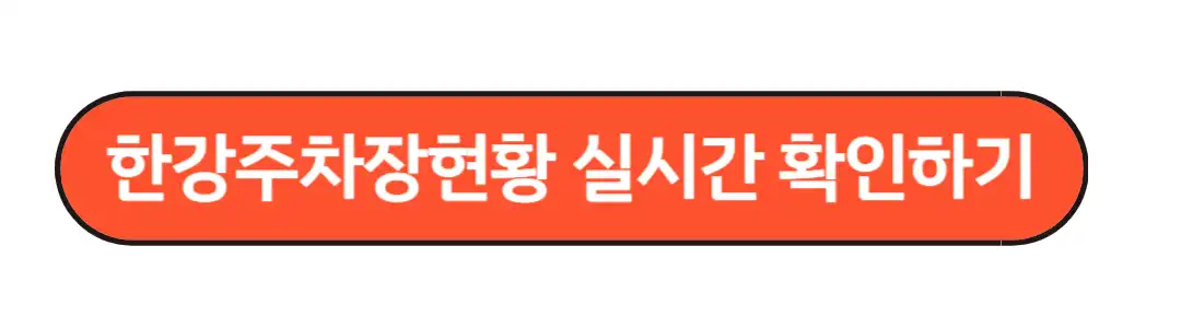 한강 주차장정보 실시간 확인