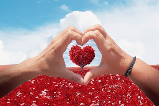 타인의 진짜 속마음, 이 단서를 보면 바로 알 수 있다