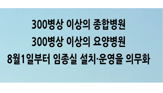 Alt 속성 문제 해결 설명 이미지